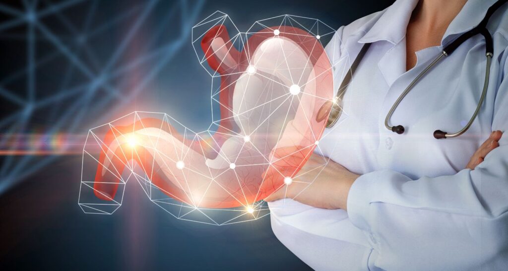 L'Intestino è il Secondo Cervello